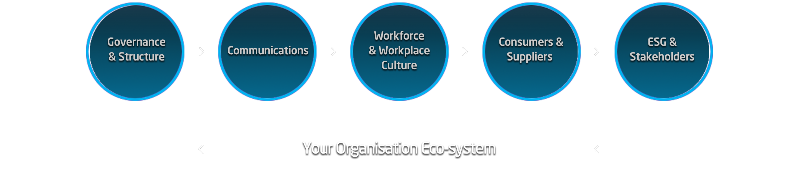 Your Organisation Eco-system