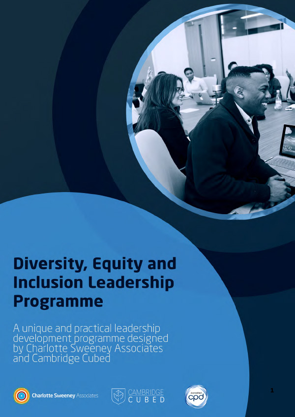 Diversity, Equity & Inclusion Leadership Programme